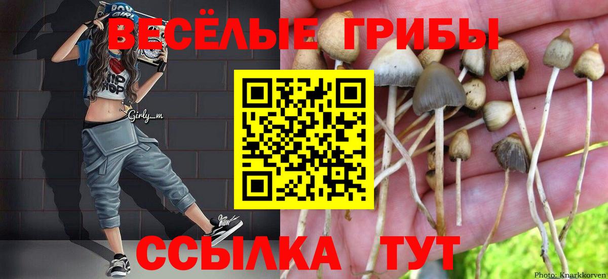 Псилоцибиновые грибы Magic Shrooms Артём