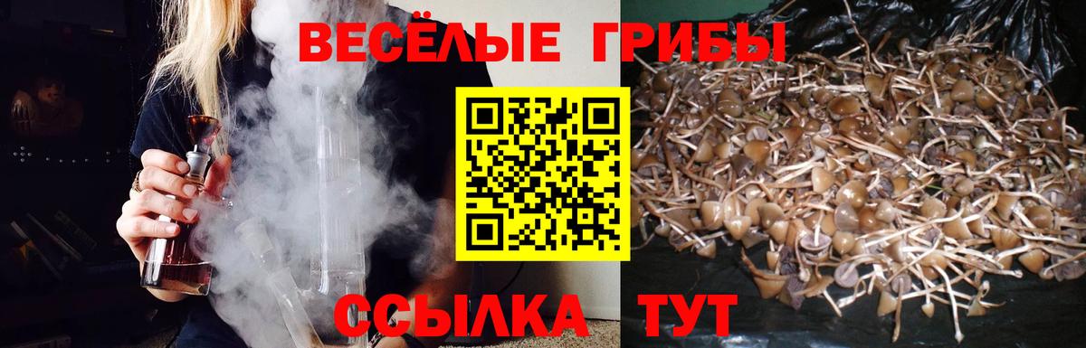 Псилоцибиновые грибы прущие грибы  Вход с VPN  Галлюциногенные грибы ЛСД  Артём 